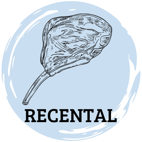 Imagen Recental